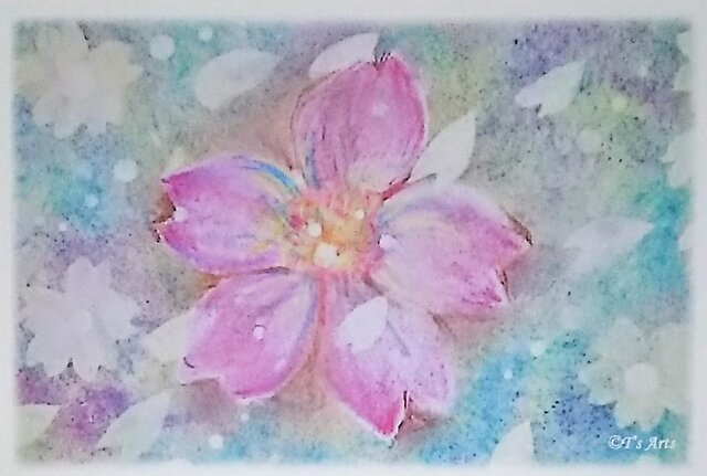 春の絵葉書 桜のイラストポストカード3枚セット(パステルアート 