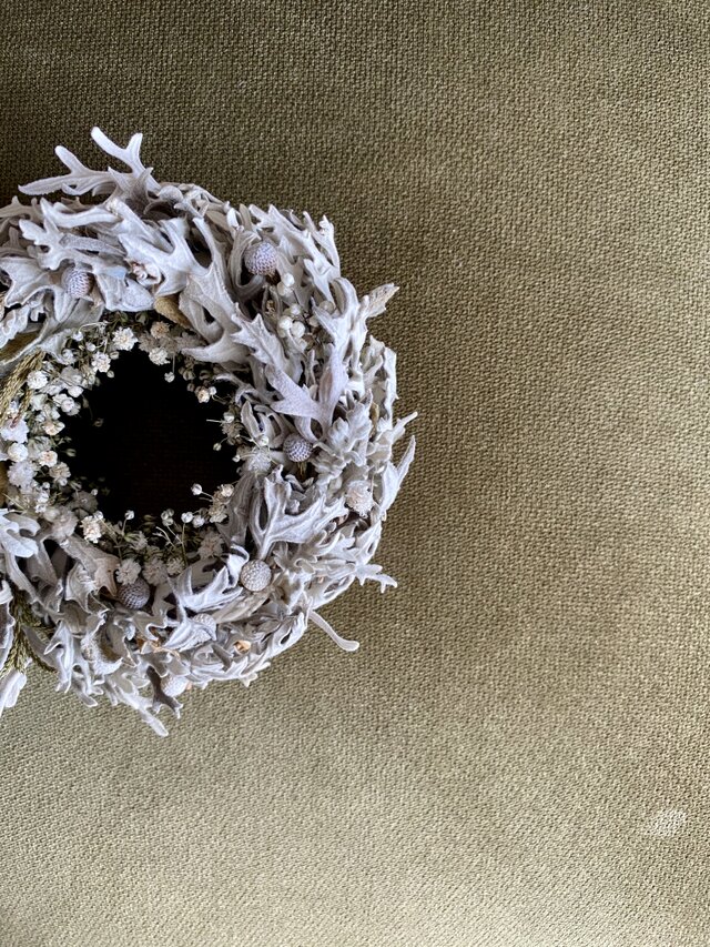 手のひらサイズ　白い葉とかすみ草のリース