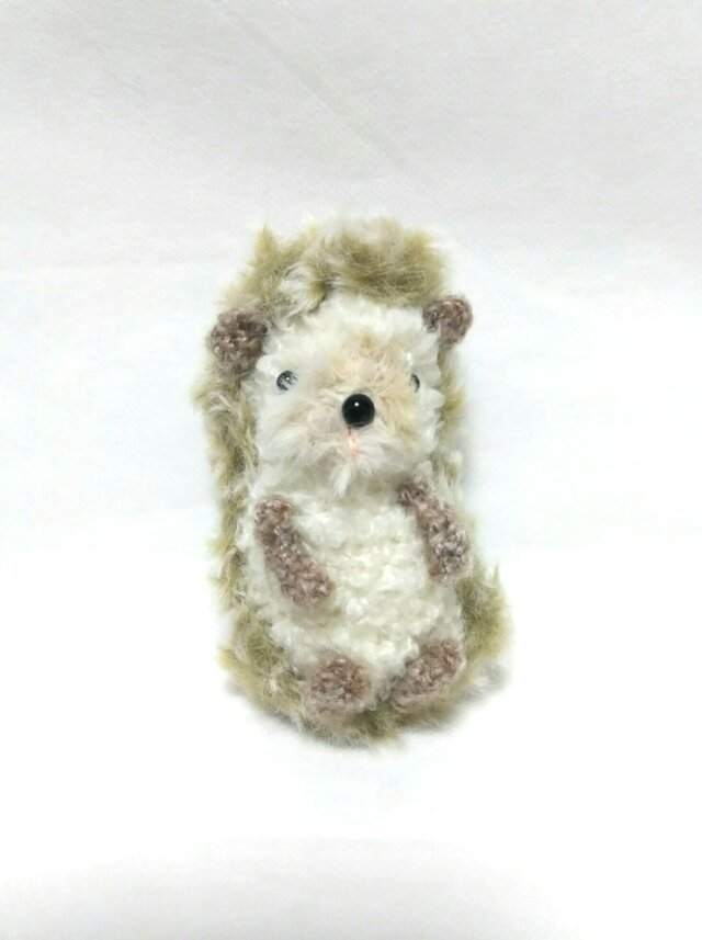 ちょっぴり大きなハリネズミの画像1枚目