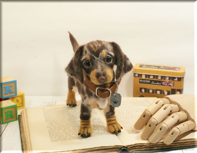 羊毛フェルト 犬 ダックスさん ダップル ダックスフント ダックスフンド 犬フィギュアの画像1枚目