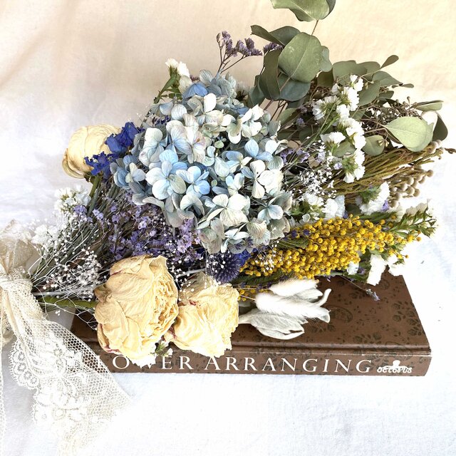 ROMANTICA Blue Yellow  LLサイズ 　ウェルカムスペース