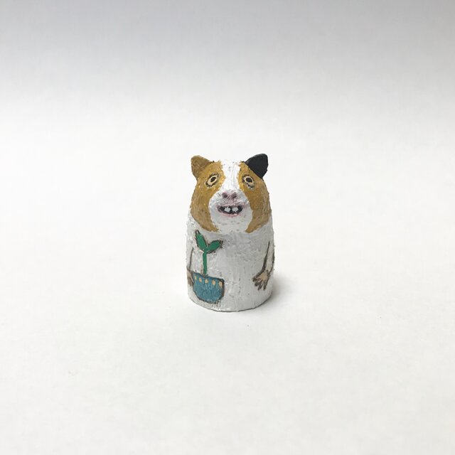 カビア(モルモット)の画像1枚目