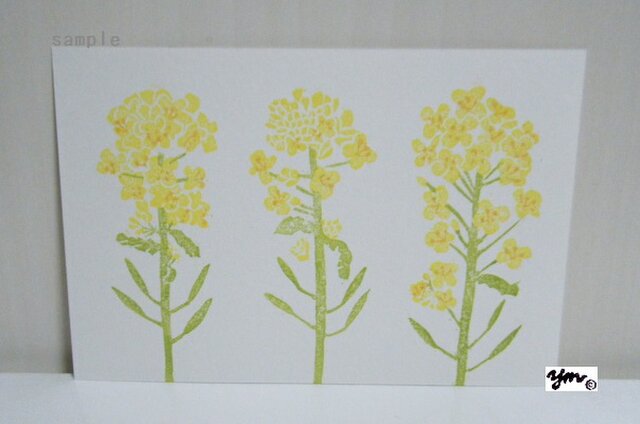 葉書〈菜の花-1〉の画像1枚目