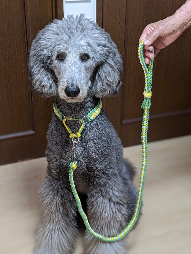 さわやかな色合いのlovelove編みのリード お揃いのハーフチョークの首輪もあります 大型犬用 Iichi ハンドメイド クラフト作品 手仕事品の通販