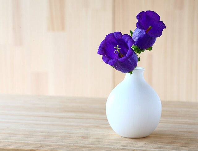 プラネットリング型 一輪挿し 花器 陶器 花瓶 円形状 和風 生花 花生花 華道 白い磁器の丸い一輪挿し (フラワーベース、花器、花瓶、陶器