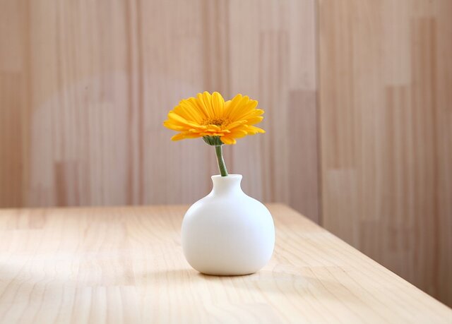 不二越　AQDEXOH25D0800 8　 （1個入り）