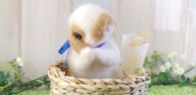 【セール】羊毛うさぎM*ブロークンオレンジ*垂れ耳*耳なめの画像1枚目
