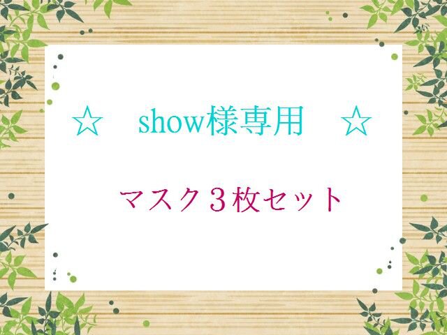 SHOW様専用♪ マスク3枚セット♪の画像1枚目