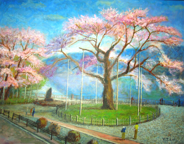 荘川桜の画像1枚目