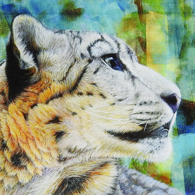 ユキヒョウの眼差し アートプリント 高光沢 動物画 アニマル Iichi ハンドメイド クラフト作品 手仕事品の通販