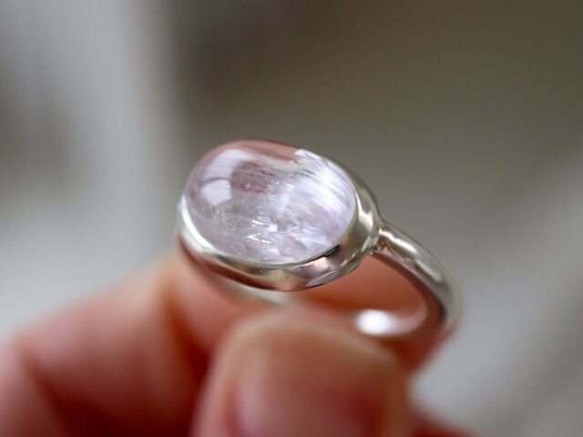 フローズンピンクのカリフォルニアアイリス ringの画像1枚目