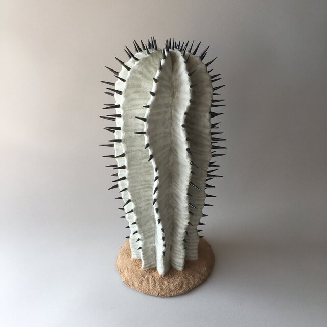 陶器のサボテン Euphorbia horridaの画像1枚目