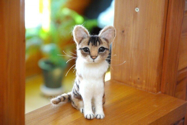 【キジトラ白猫ちゃん 大きめの子】 の画像1枚目