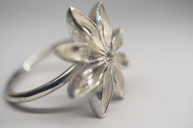 star anis diamond ringの画像1枚目