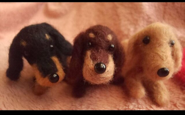 羊毛フェルト　ミニチュアダックス　たっち Yahoo!オークション - 羊毛フェルト ミニチュアダックスフンド犬