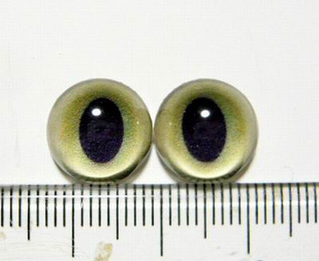 オーダーのお品○半球グラスアイ○猫目○12mm〇G026の画像1枚目