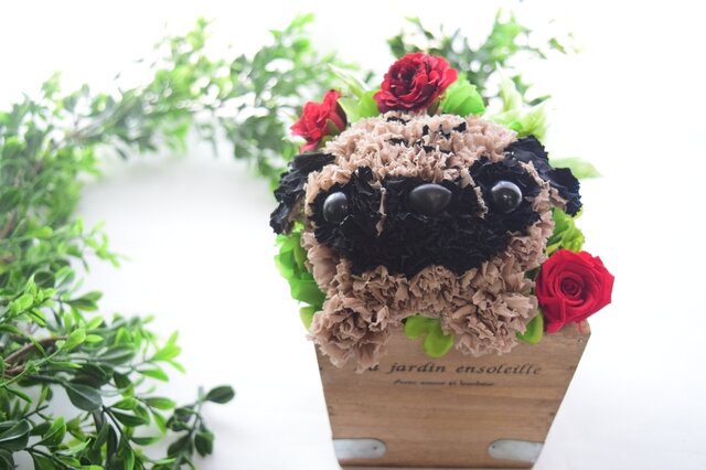 花っぷりフラワーペット パグ プリザーブドフラワー カーネーションの犬 花 ペット 犬 動物 母の日 誕生日 Iichi ハンドメイド クラフト作品 手仕事品の通販 花っぷりフラワーペット パグ プリザーブドフラワー カーネーションの犬 花 ペット 犬 動物 母の日 誕生日 Iichi ハンドメイド クラフト作品 手仕事品の通販