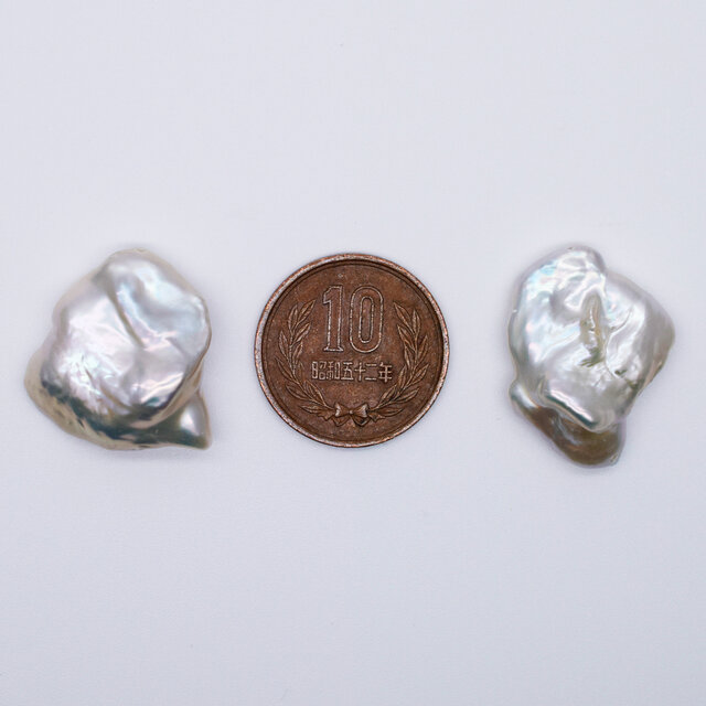 希少 極大 22~26mm*19~23mm オーロラ 花びら ケシパール 1粒 淡水真珠