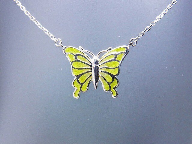 「Butterfly」の画像1枚目