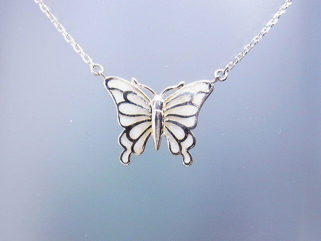 「Butterfly」の画像1枚目