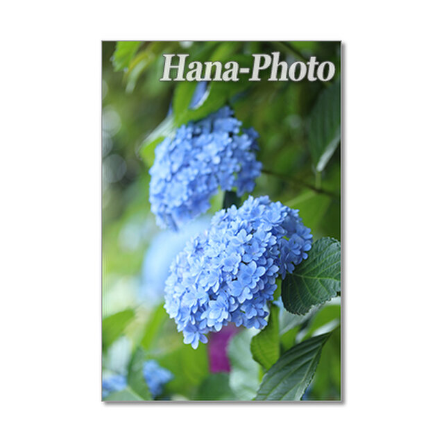 1405 美しいブルーの紫陽花 ポストカード5枚組 Iichi ハンドメイド クラフト作品 手仕事品の通販
