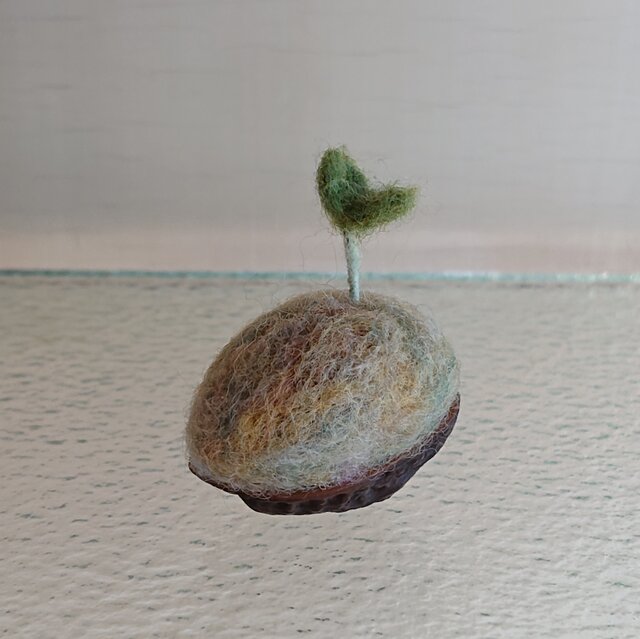 羊毛で作ったクルミの芽の画像1枚目