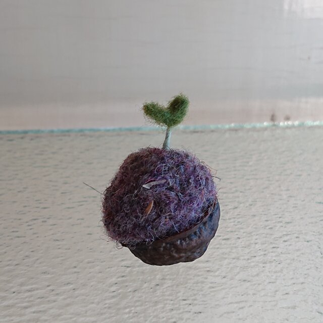 羊毛で作ったクルミの芽の画像1枚目