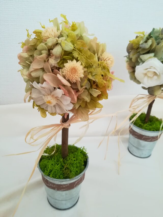 ぴぃ様 4.本物花 プリザーブドフラワー ドライフラワー ぴぃ様 4.本物花 プリザーブドフラワー ドライフラワー