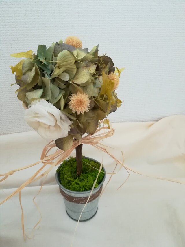 ぴぃ様 4.本物花 プリザーブドフラワー ドライフラワー 花1輪のトピアリー プリザーブドフラワー ドライフラワー