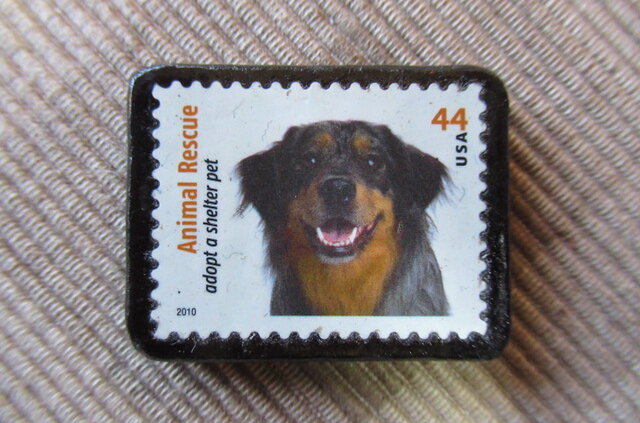 アメリカ 犬切手ブローチ6311の画像1枚目