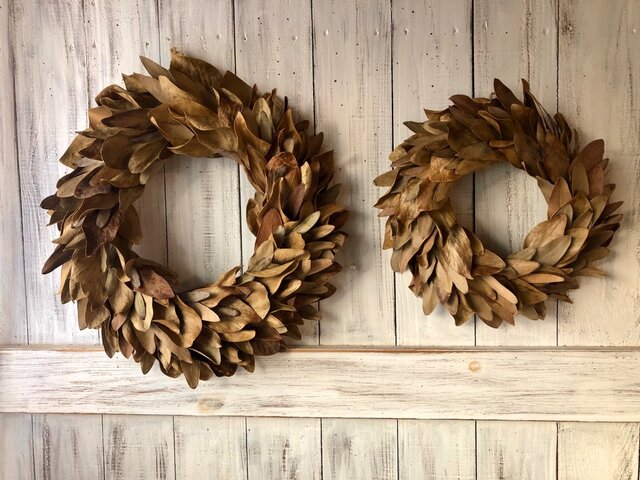 専用＊プロテア＆フォルモーサ　ドライフラワーリース 専用＊プロテア＆フォルモーサ ドライフラワーリース