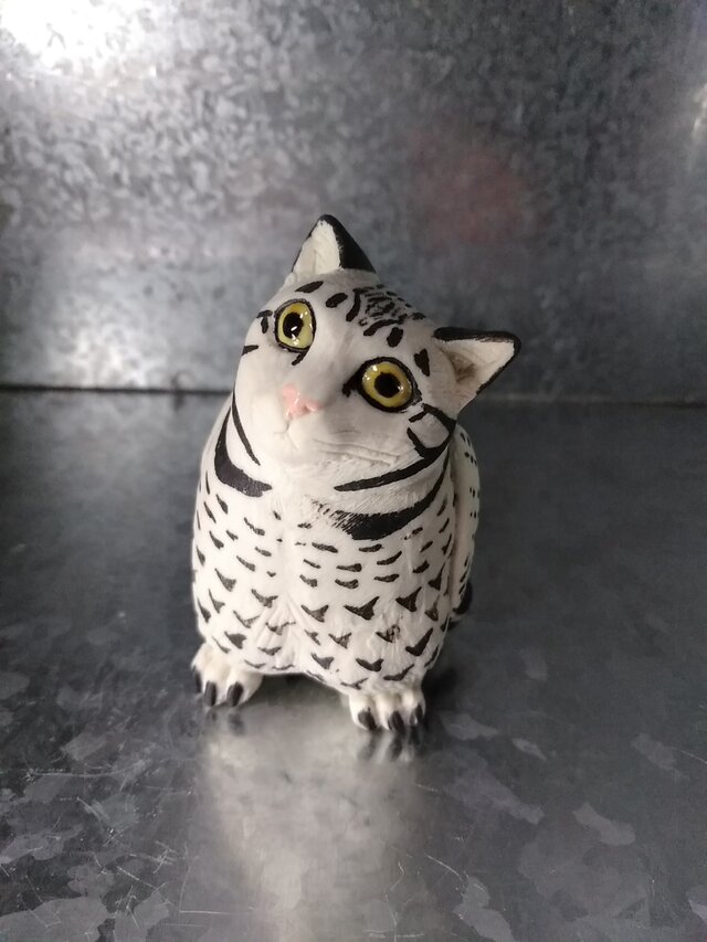 200gAs ネコミミズクの画像1枚目