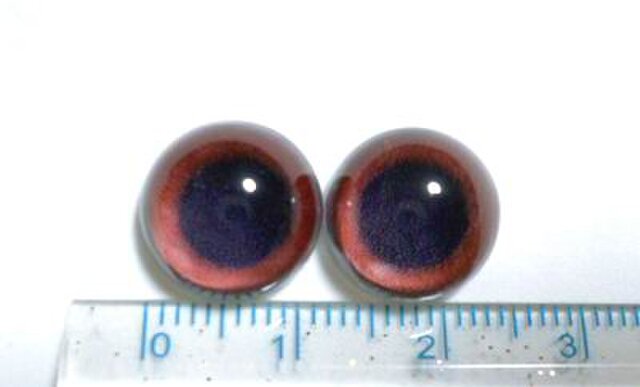 にゃんこのおめめ○半球グラスアイ○猫目○12mm○BRM101の画像1枚目