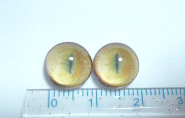 にゃんこのおめめ○半球グラスアイ○猫目○10mm○H000の画像1枚目