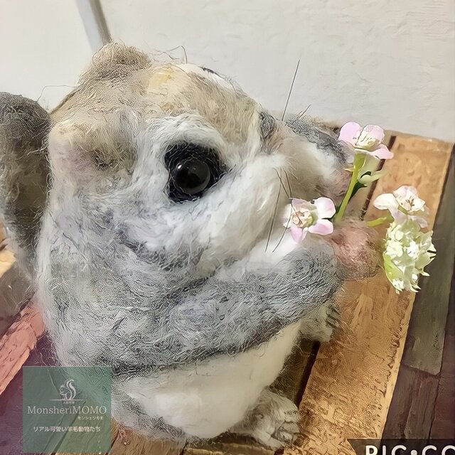 受注制作☆羊毛フェルトのエゾモモンガ | iichi 日々の暮らしを