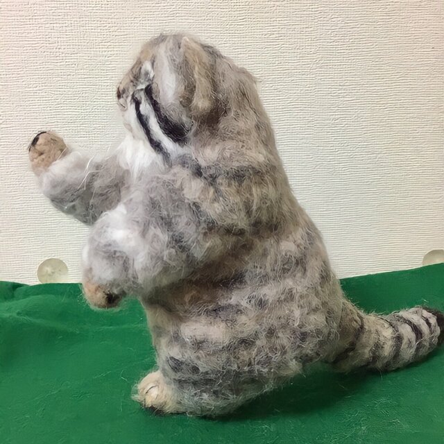 受注制作☆羊毛フェルトのマヌルネコの招き猫 | iichi 日々の暮らしを