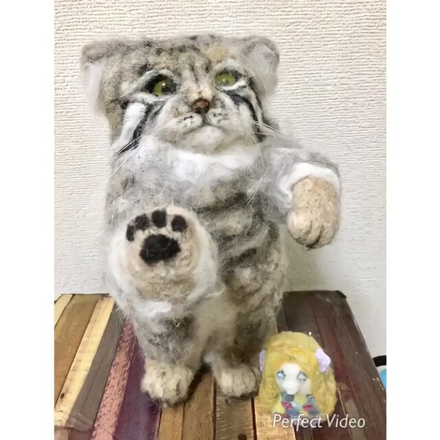 受注制作☆羊毛フェルトのマヌルネコの招き猫 | iichi 日々の暮らしを