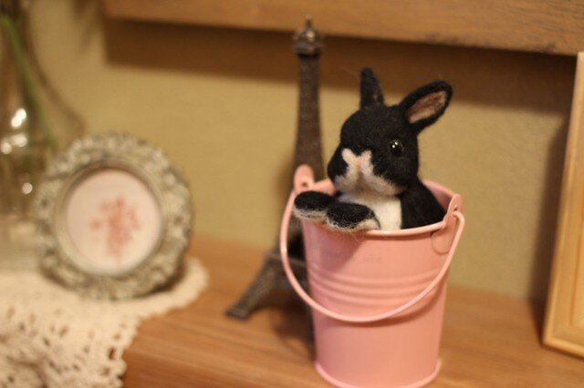 バケツにハマった羊毛うさぎサン☆ネザーランドドワーフの画像1枚目