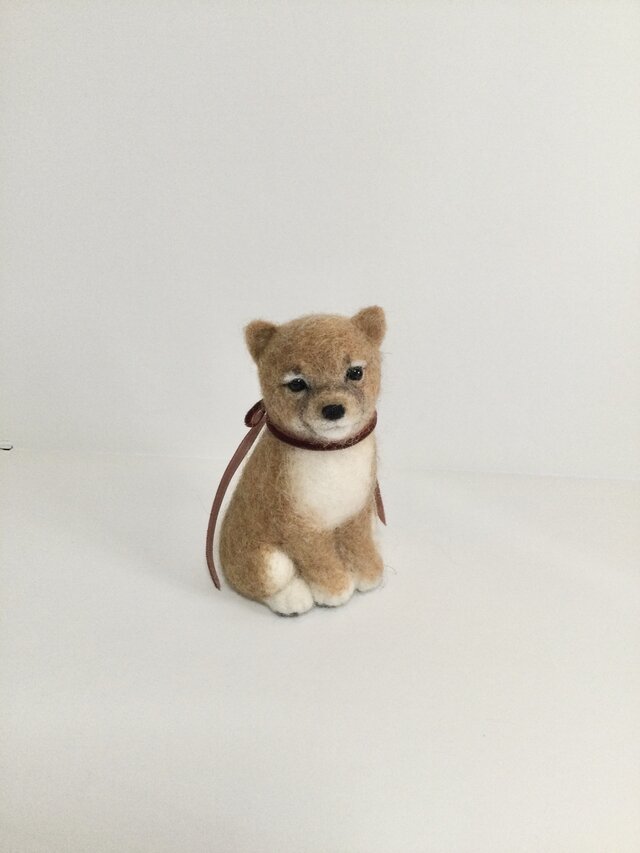 茶色い子犬 [ 再出品 ]