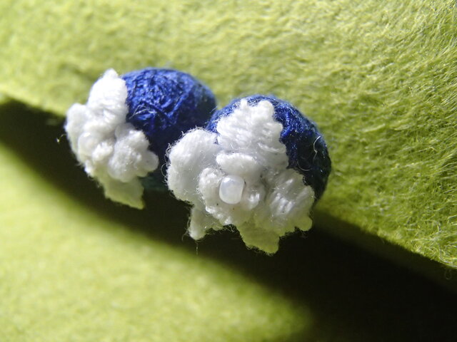 3D手刺繍/ピアス風イヤリング/胡蝶蘭の画像1枚目