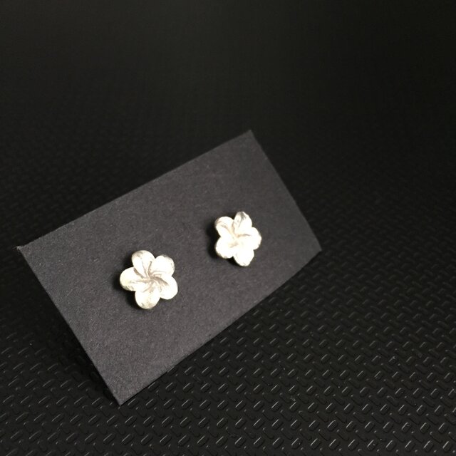 SALE= プルメリアのピアス - silverの画像1枚目