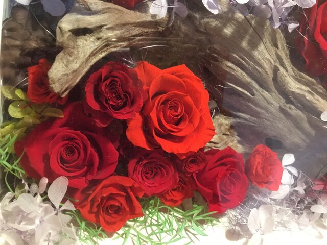 置き型フレーム 流木と赤薔薇の画像1枚目