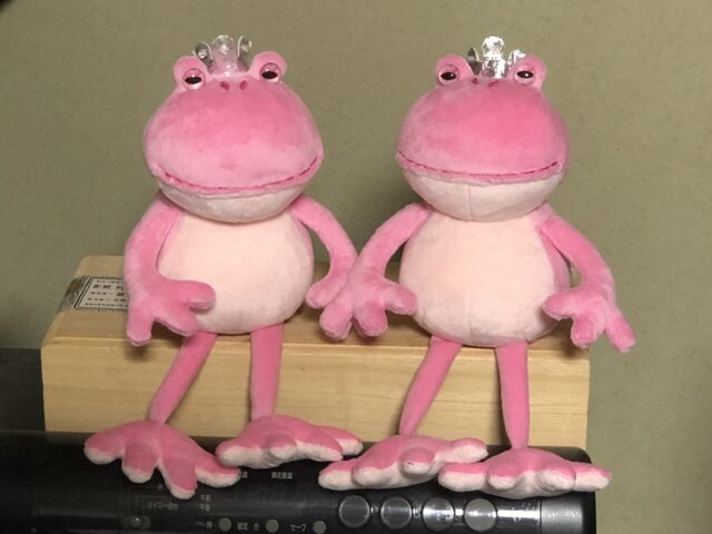 女王様の見習いカエルMの画像1枚目
