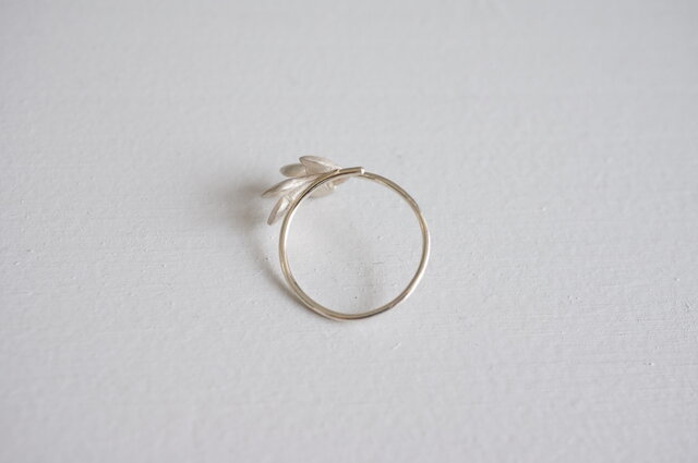 ハゼの実のリング(フリーサイズ) | iichi 日々の暮らしを心地よくする