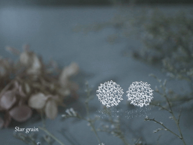 Silver earring 「Star grain」の画像1枚目