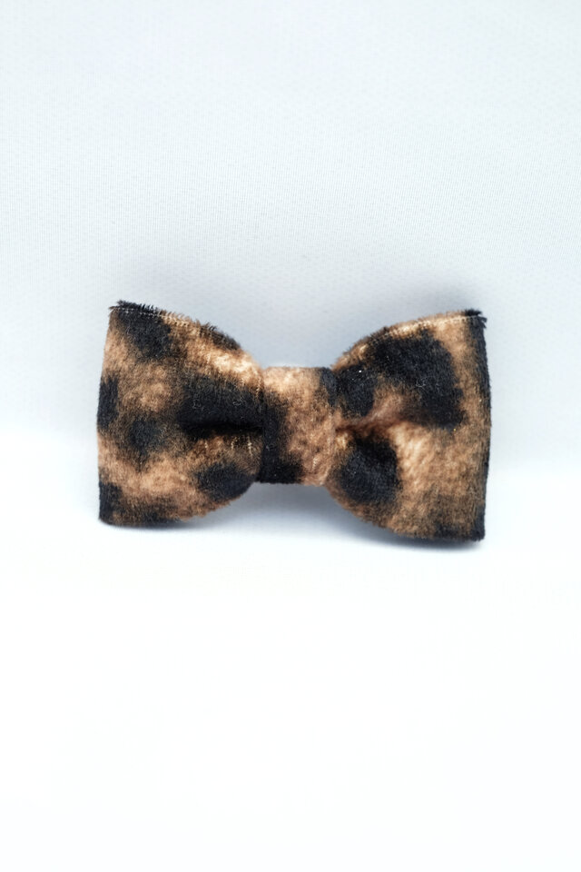 shoes ribbon 【 Leopard (S) 】の画像1枚目