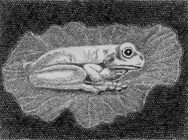 蓮の上の蛙/ 銅版画 (額あり） | iichi 日々の暮らしを心地よくする