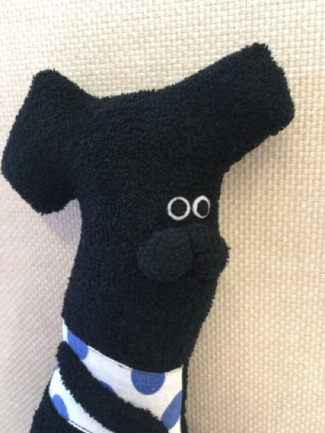 いぬのハントさんの画像1枚目