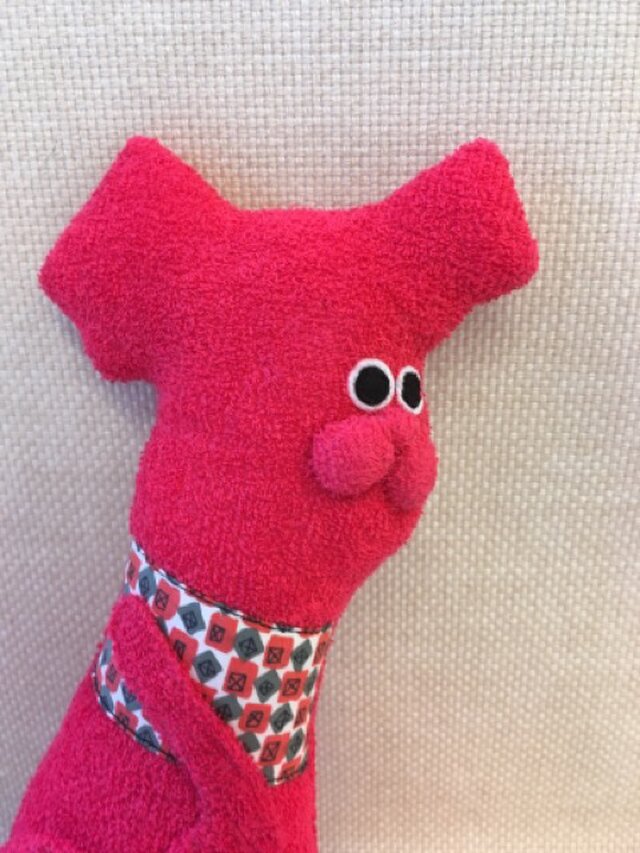 いぬのハントさんの画像1枚目
