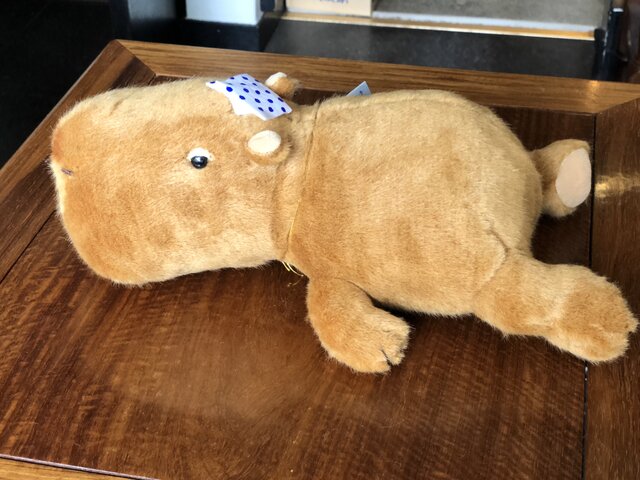 リラックスカピバラの画像1枚目